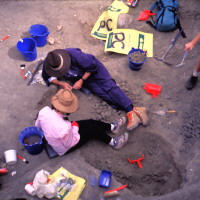 Excavation at Murgon